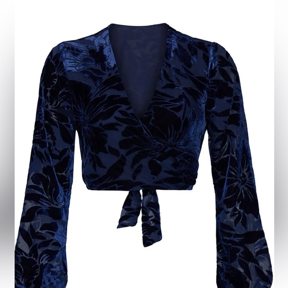FLAW Hutch Velvet Claudia Crop Top Size Small - Picture 2 of 10
